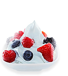 Blueberry Frozen Yogurt