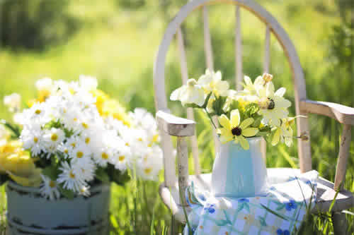Blomster i vaser