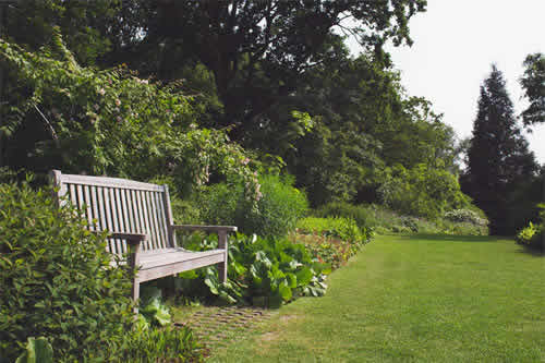 Bænk omringet af planter