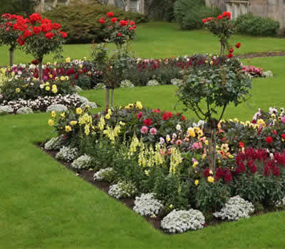 Have med mange blomster